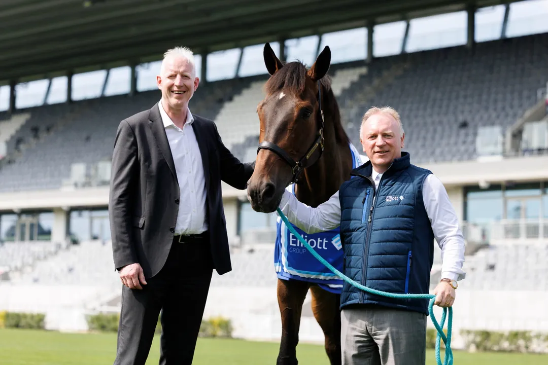 Horse led across the Dublin Horse Show main arena